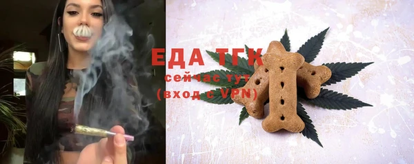 прущий лед Бородино