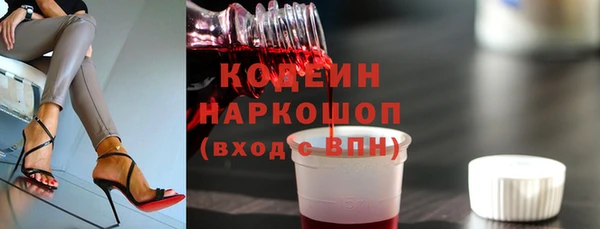 прущий лед Бородино