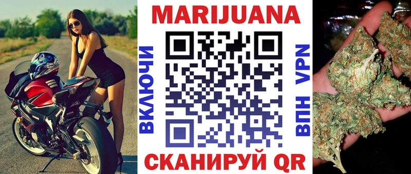 Конопля сатива  Будённовск 